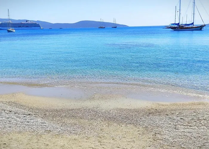 Central, Cozy, 15 Min Walk To The Beach, Fast Wi-fi, Free Parking, 4ppl Lägenhet Bodrum