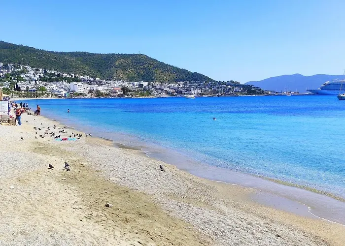 Central, Cozy, 15 Min Walk To The Beach, Fast Wi-fi, Free Parking, 4ppl Apartmán Bodrum